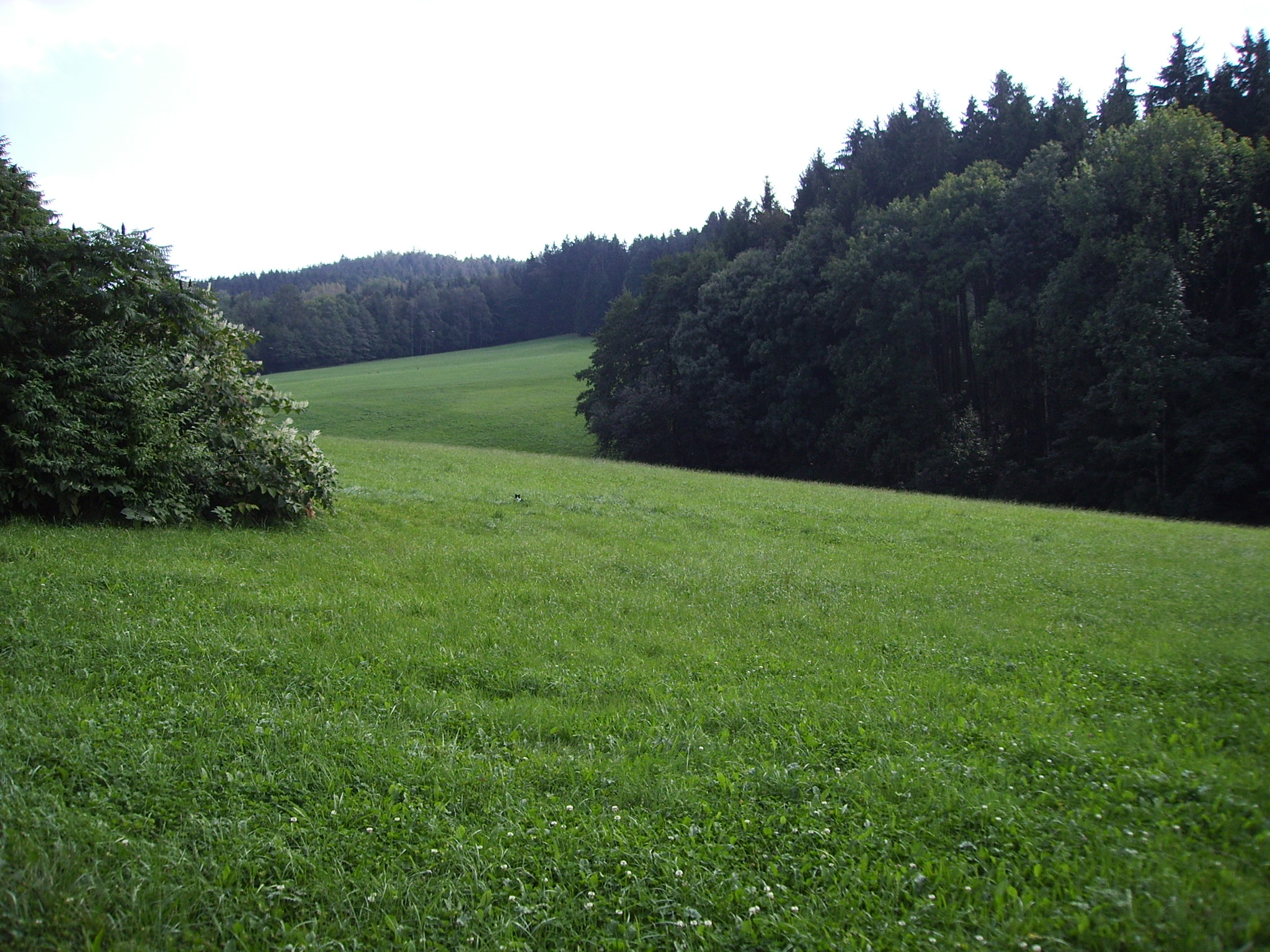 Grundstück